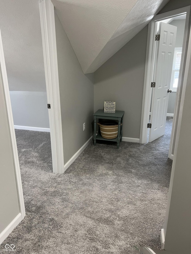 additional living space with lofted ceiling, carpet flooring, baseboards, and a textured ceiling