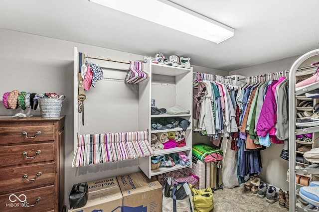 view of spacious closet