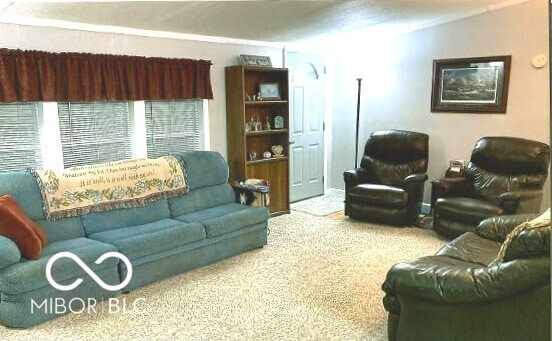 living room featuring carpet floors