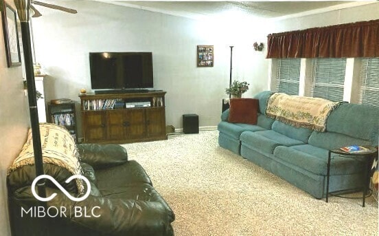 living area with ceiling fan