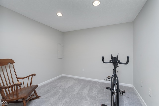 exercise room with baseboards, carpet floors, electric panel, recessed lighting, and a textured ceiling