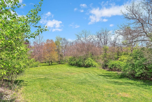 view of yard featuring a wooded view