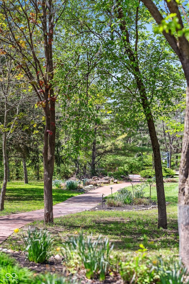 view of property's community