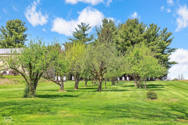 surrounding community featuring a lawn