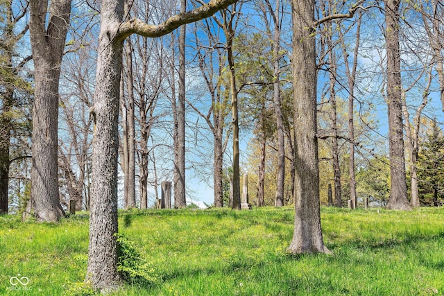 view of landscape