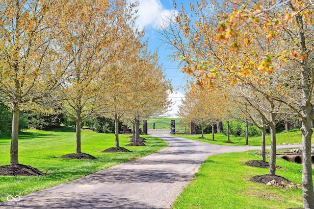 view of property's community featuring a lawn, a gate, aphalt driveway, and fence