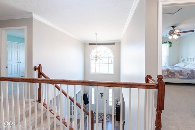 stairway featuring a chandelier, carpet, and ornamental molding