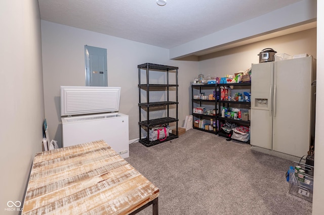 storage room featuring electric panel