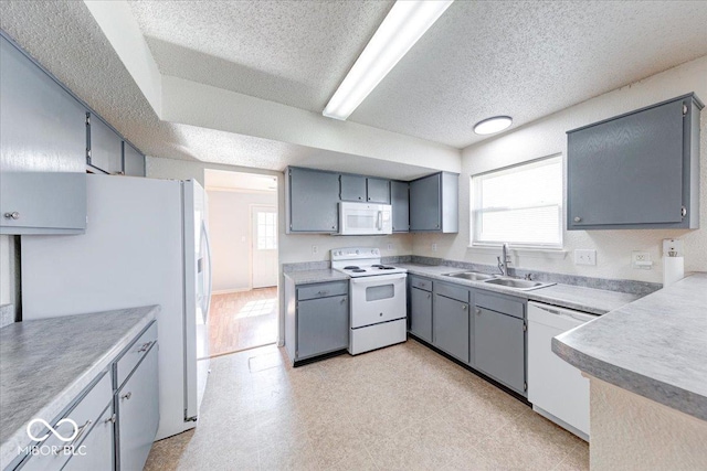 kitchen featuring light floors, gray cabinets, white appliances, a textured ceiling, and a sink