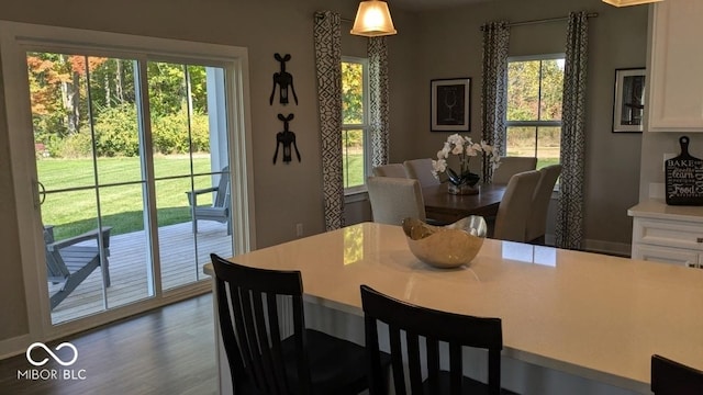 dining room with dark wood finished floors