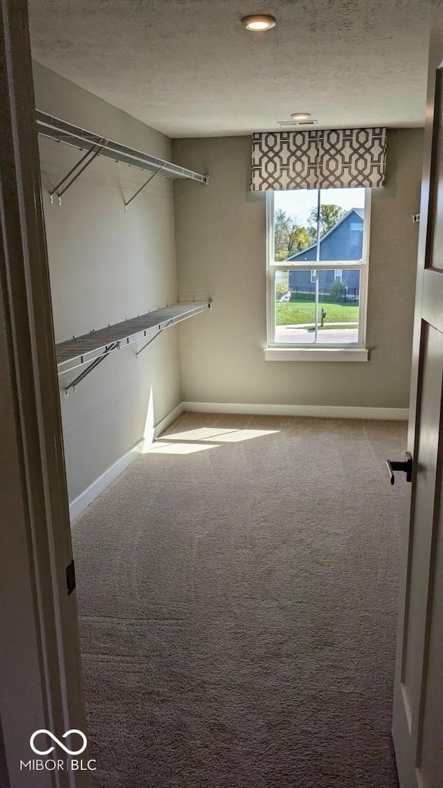 spacious closet with carpet floors