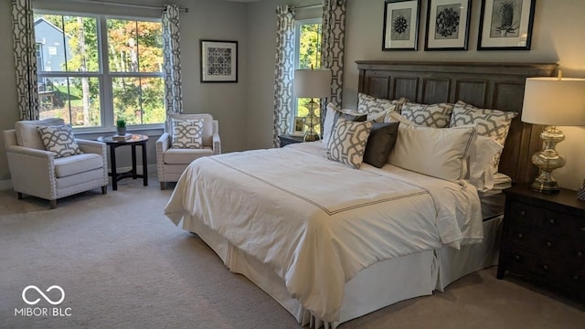 bedroom with carpet floors