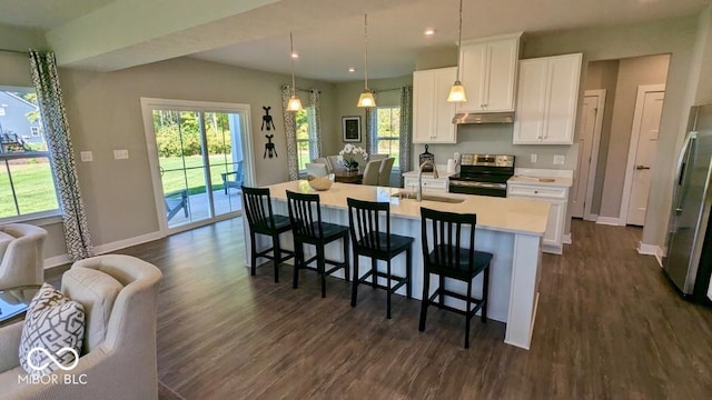 kitchen with under cabinet range hood, a sink, dark wood finished floors, appliances with stainless steel finishes, and light countertops