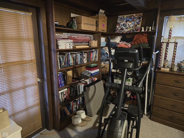 interior space featuring carpet flooring