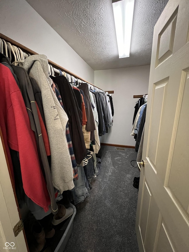 spacious closet featuring carpet floors