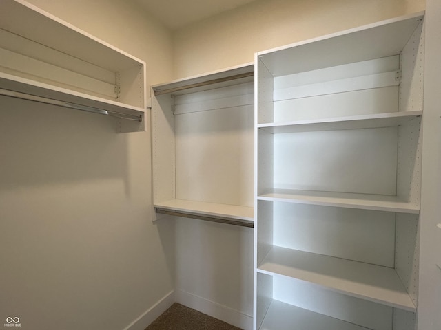 457 Mariposa Trl, Carmel, IN 46032 - view of walk in closet
