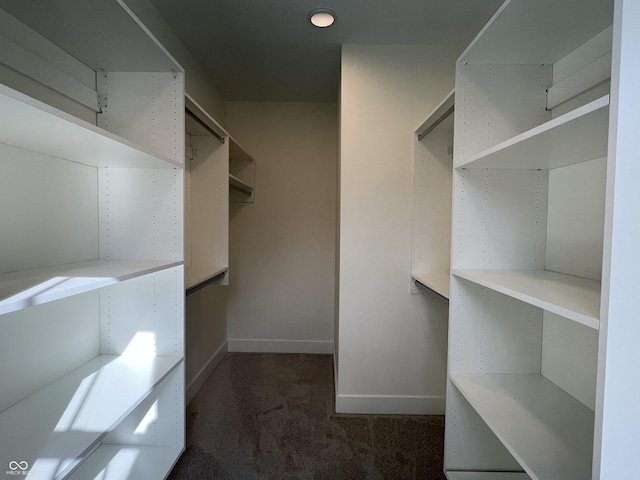 457 Mariposa Trl, Carmel, IN 46032 - spacious closet featuring dark colored carpet