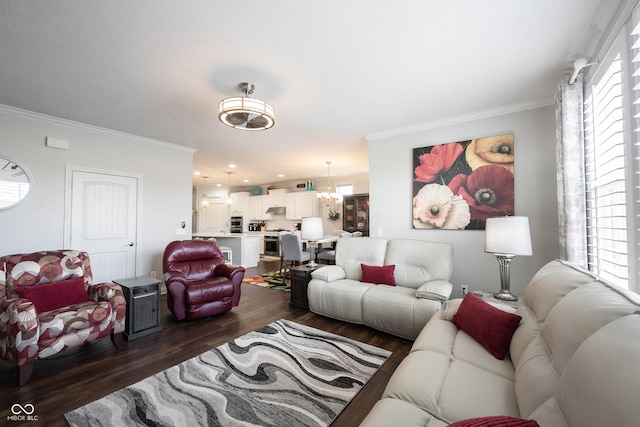 living area featuring a notable chandelier, dark wood-style flooring, and ornamental molding