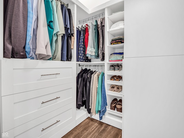 spacious closet featuring wood finished floors