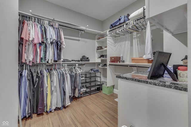 spacious closet with wood finished floors