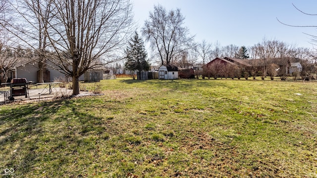 view of yard with a storage shed, a patio area, and an outdoor structure