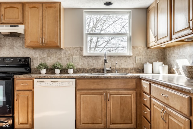 kitchen featuring electric range, under cabinet range hood, a sink, tasteful backsplash, and dishwasher