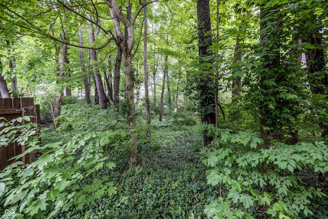 12348 Seaway Cir, Indianapolis, IN 46236 - view of wooded area