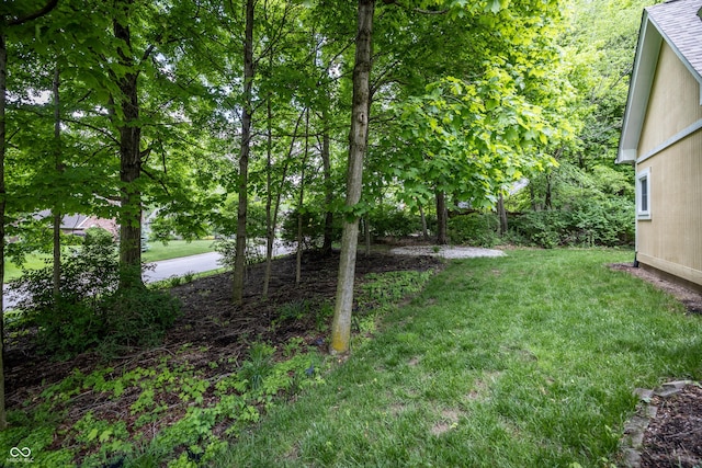 12348 Seaway Cir, Indianapolis, IN 46236 - view of green lawn