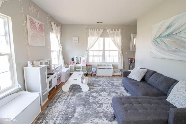 living room with wood finished floors