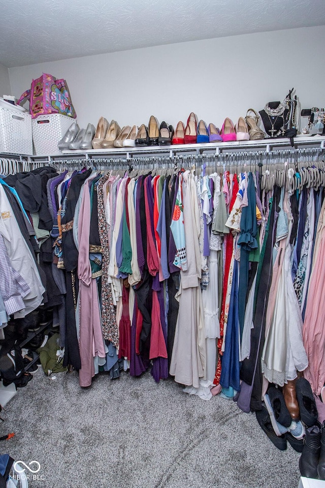 walk in closet featuring carpet