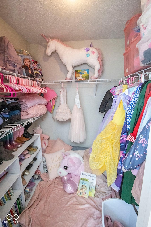 view of spacious closet