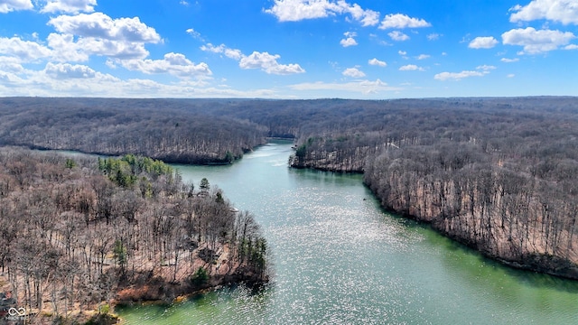 drone / aerial view featuring a water view and a wooded view