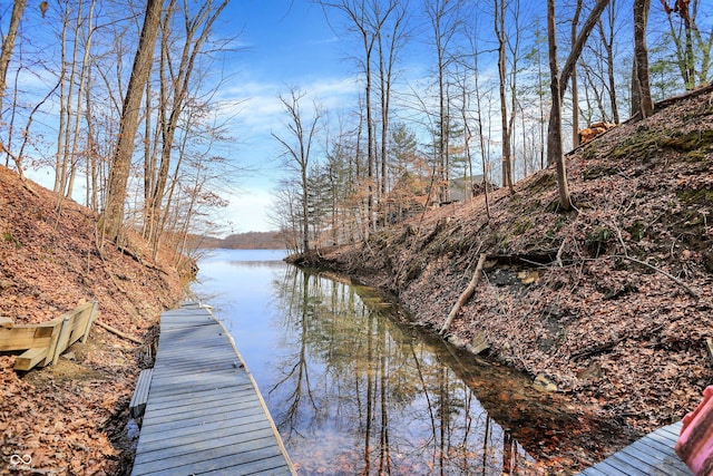 view of dock with a water view