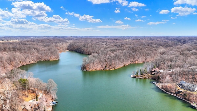 aerial view featuring a water view and a wooded view