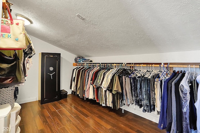 spacious closet featuring vaulted ceiling and wood finished floors