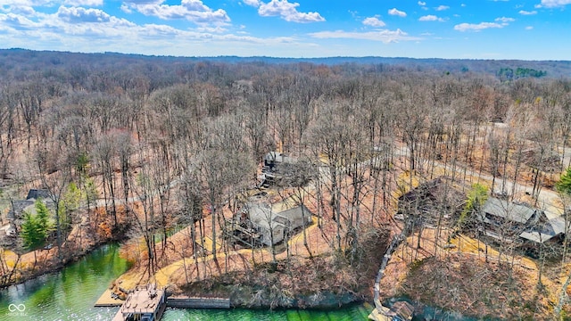 bird's eye view featuring a forest view and a water view