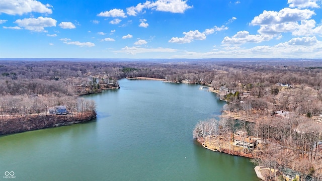 drone / aerial view featuring a wooded view and a water view