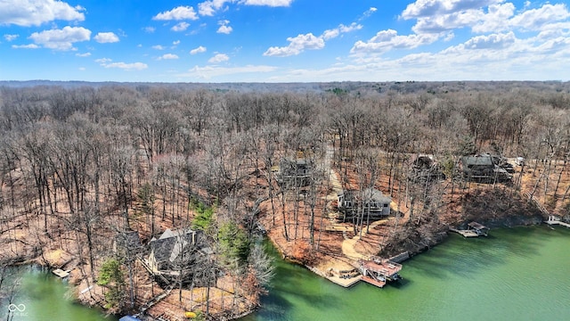 drone / aerial view with a water view and a view of trees