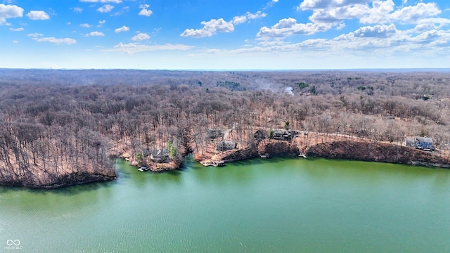 aerial view featuring a forest view and a water view