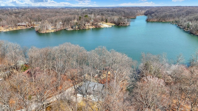 drone / aerial view with a view of trees and a water view