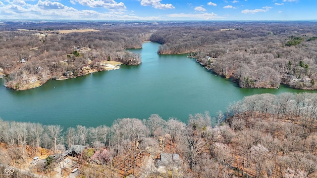 drone / aerial view featuring a wooded view and a water view