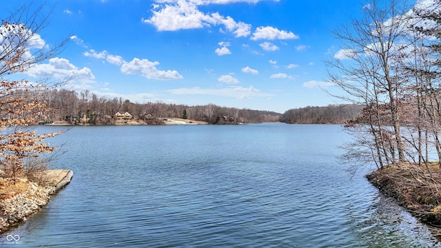 water view featuring a forest view