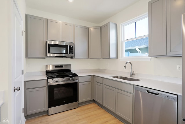 kitchen featuring a sink, stainless steel appliances, light wood-type flooring, and gray cabinetry