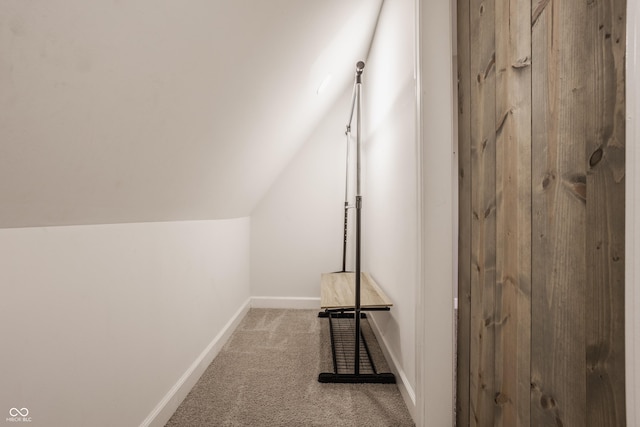 interior space featuring carpet and vaulted ceiling