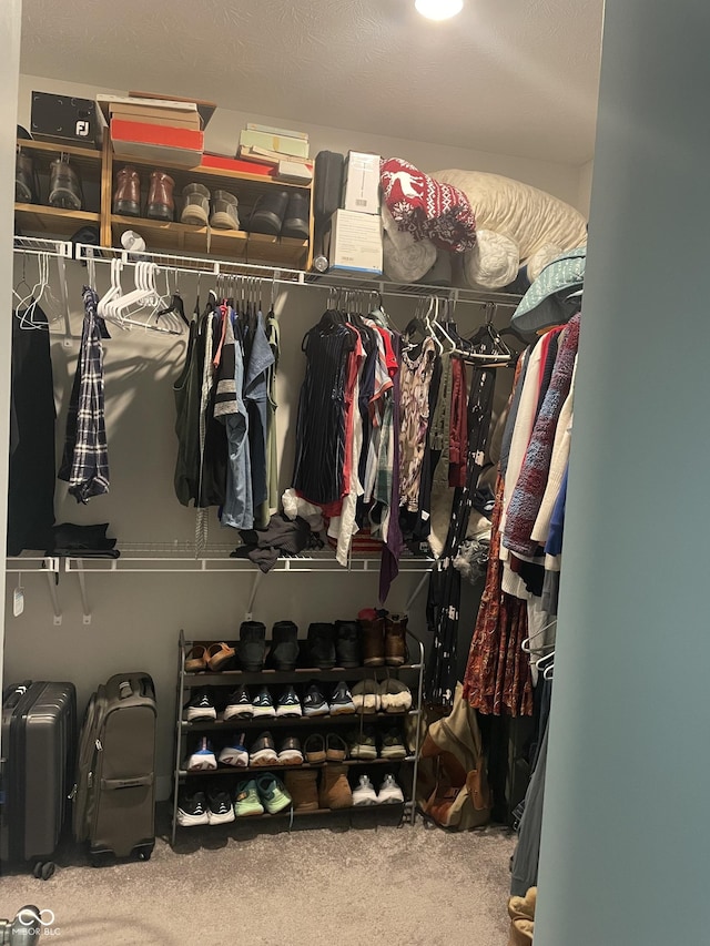 spacious closet featuring carpet floors