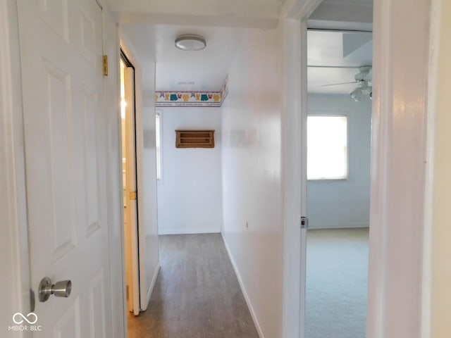 hall featuring baseboards and wood finished floors