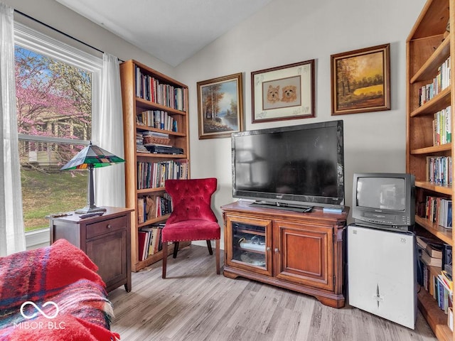 6556 Aintree Ter, Indianapolis, IN 46250 - living area featuring a wealth of natural light, light wood-style floors, and vaulted ceiling