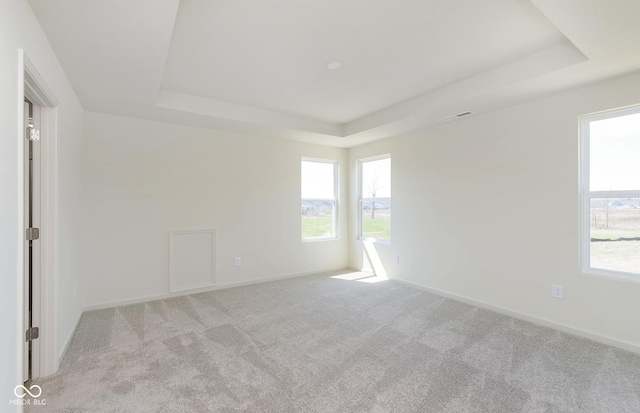 carpeted empty room featuring a tray ceiling, a healthy amount of sunlight, and baseboards