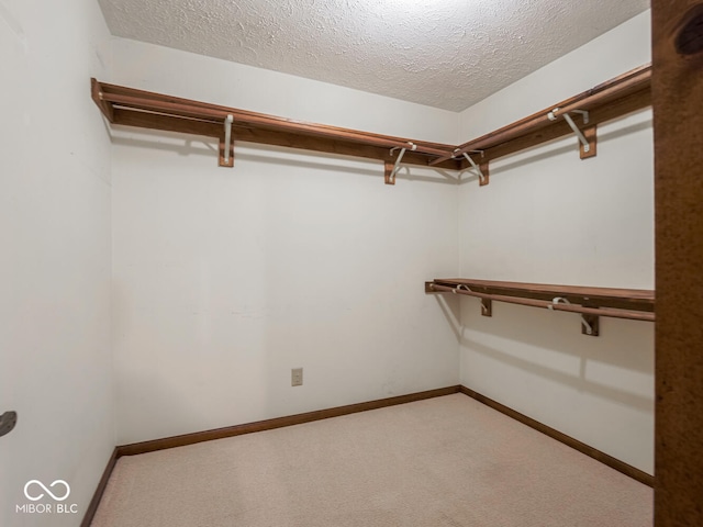 spacious closet featuring carpet floors