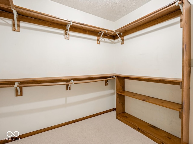 walk in closet featuring carpet floors